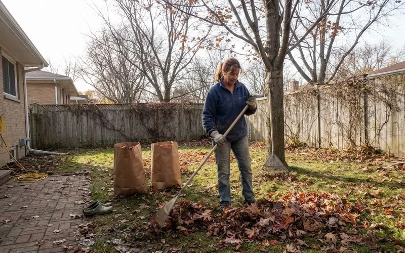 A homeowner raking fallen leaves in an Ontario backyard in autumn