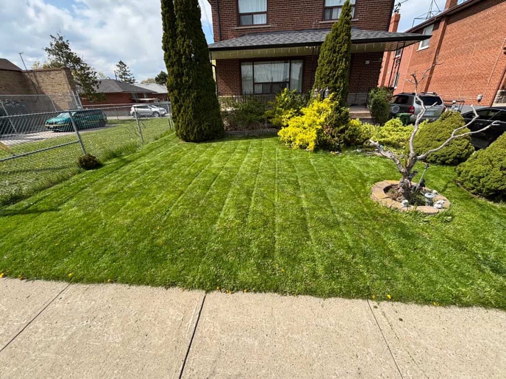 Maison Verte Landscaping