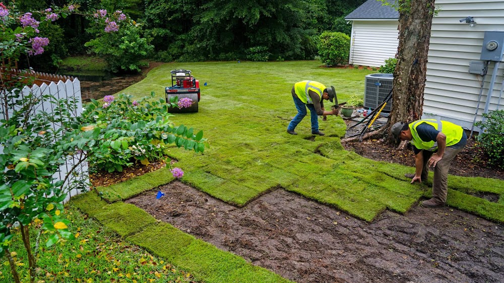 Tango Landscaping & Maintenance