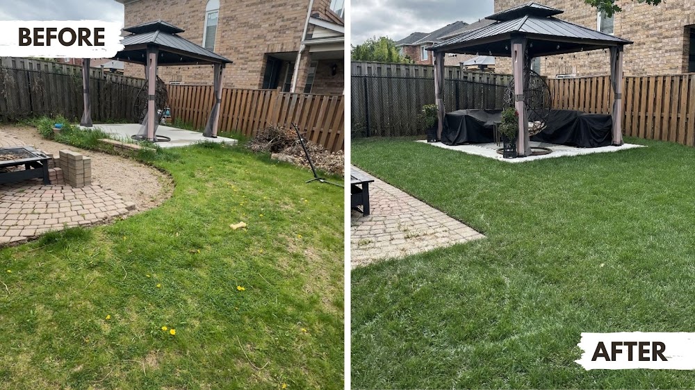 Andrew Tannus' Student Lawn Services