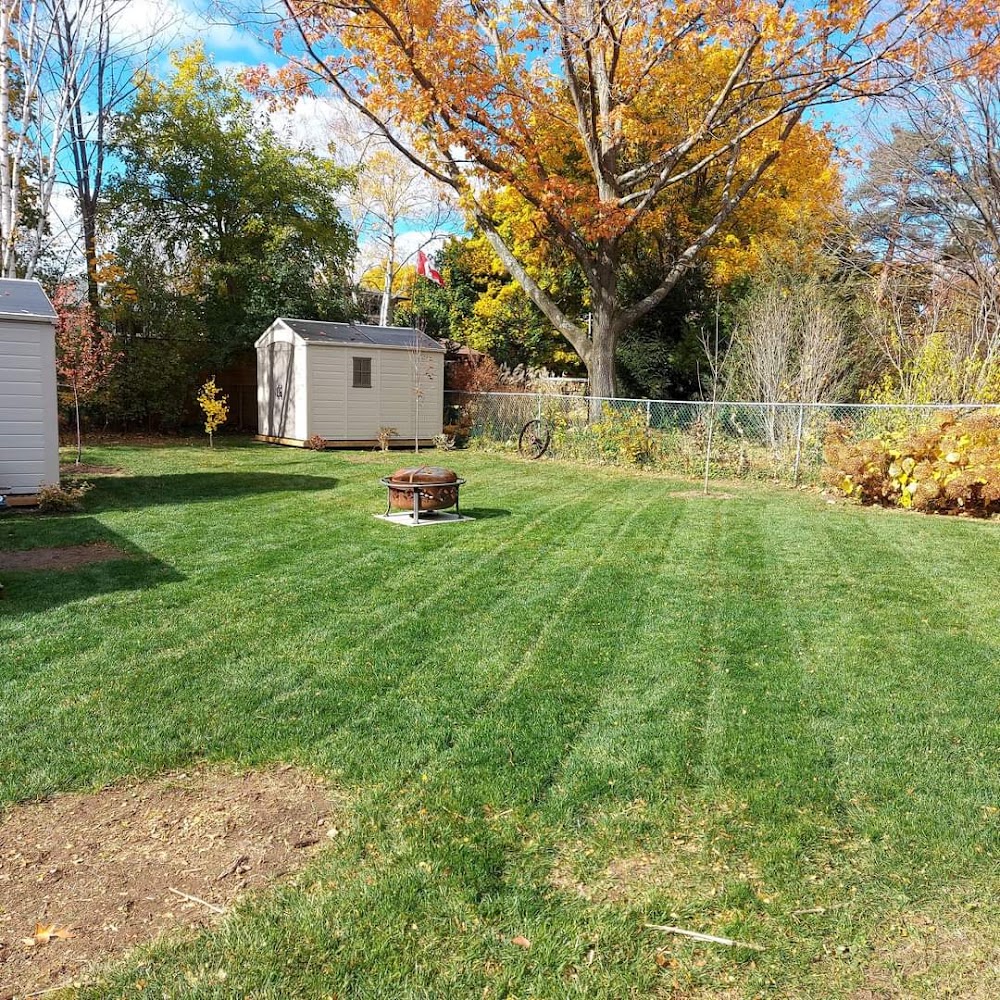 Green Light Landscape and Property Maintenance