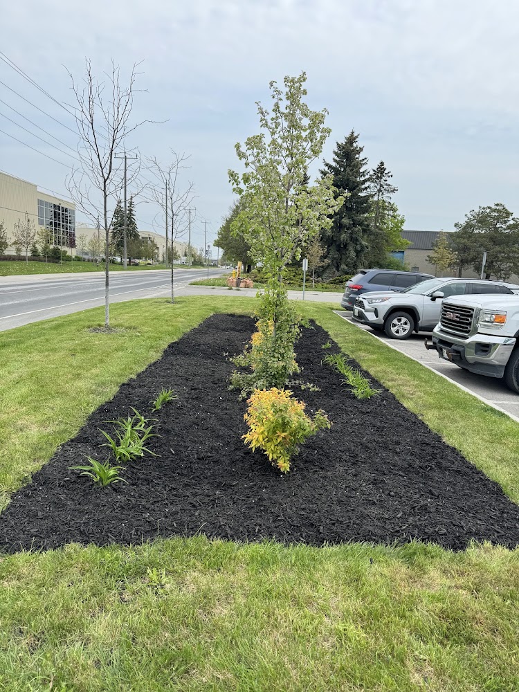 Lawn2care Landscaping and Snow Removal