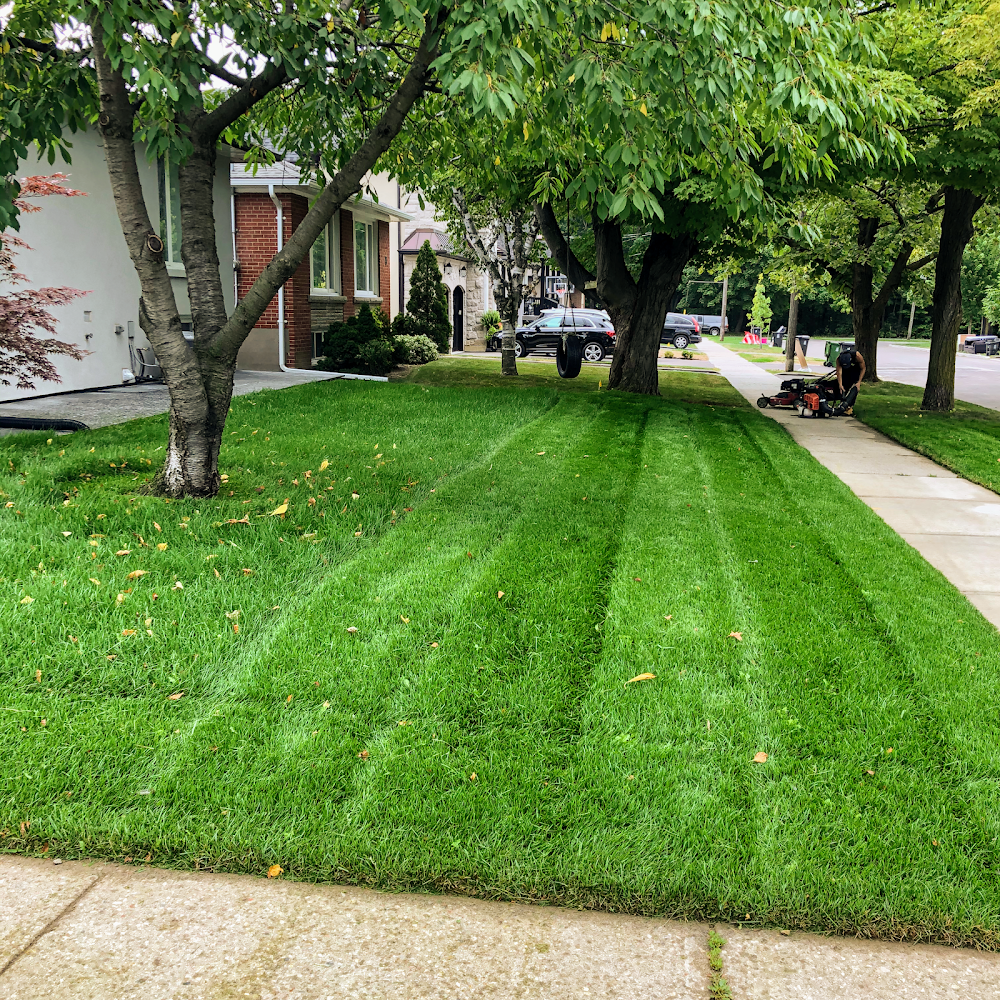 MMC Lawn Care