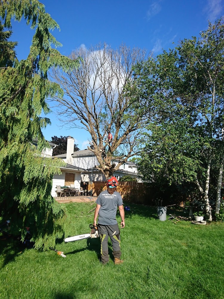 Tree Doctors Inc.