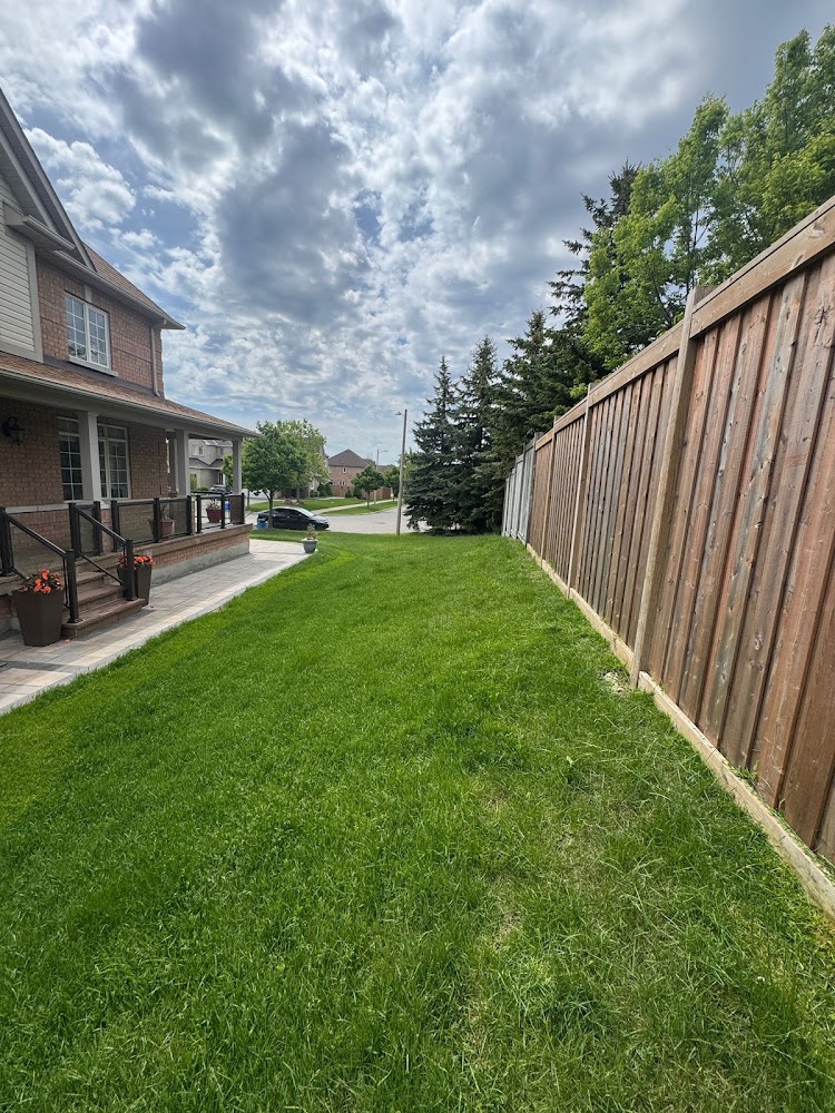 Elite Landscaping & Snow Removal