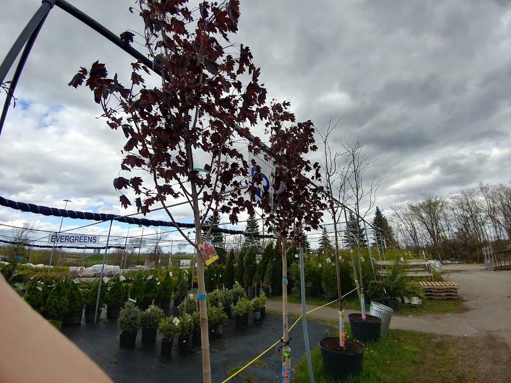 Ritchie Feed & Seed Inc | Ottawa East