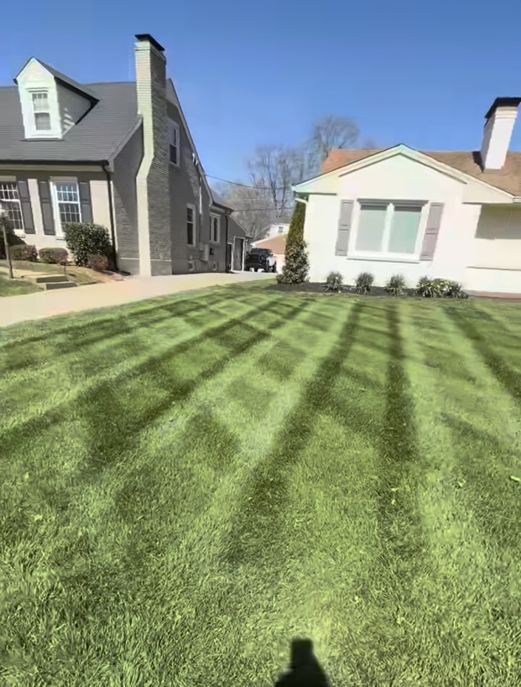 True north Landscape management