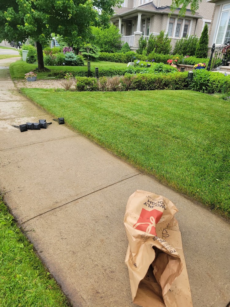 Lawncare Solutions