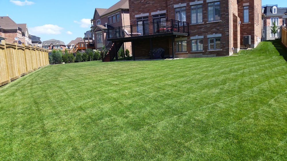 KN Property Maintenance