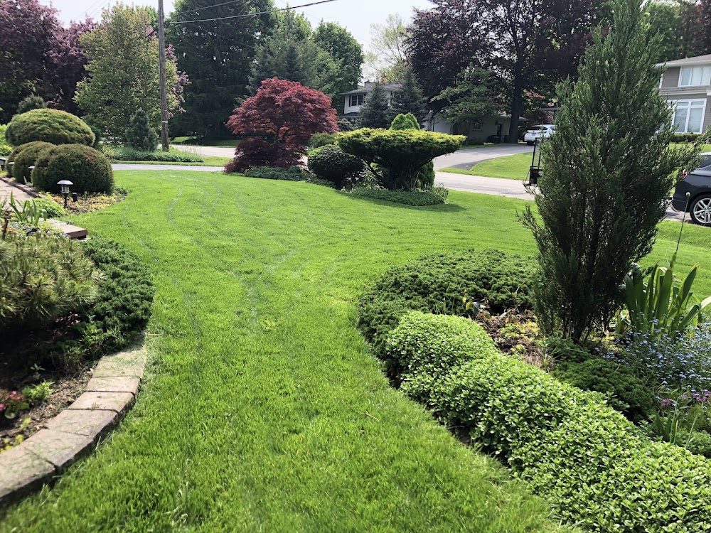 Maple Bay Landscaping