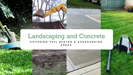 Golden Thumb Contracting Inc.