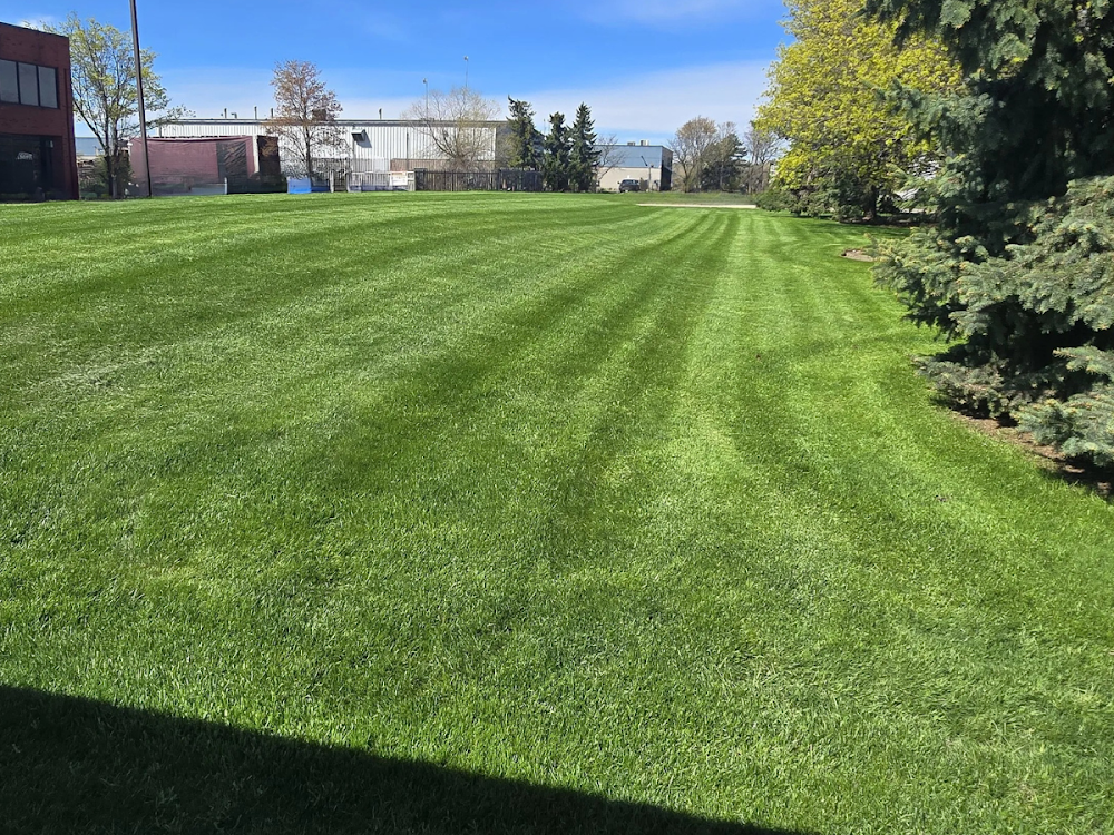 Big G Landscapes and Contracting