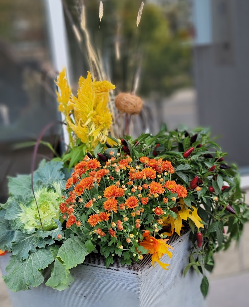 Empire City Landscape & Maintenance