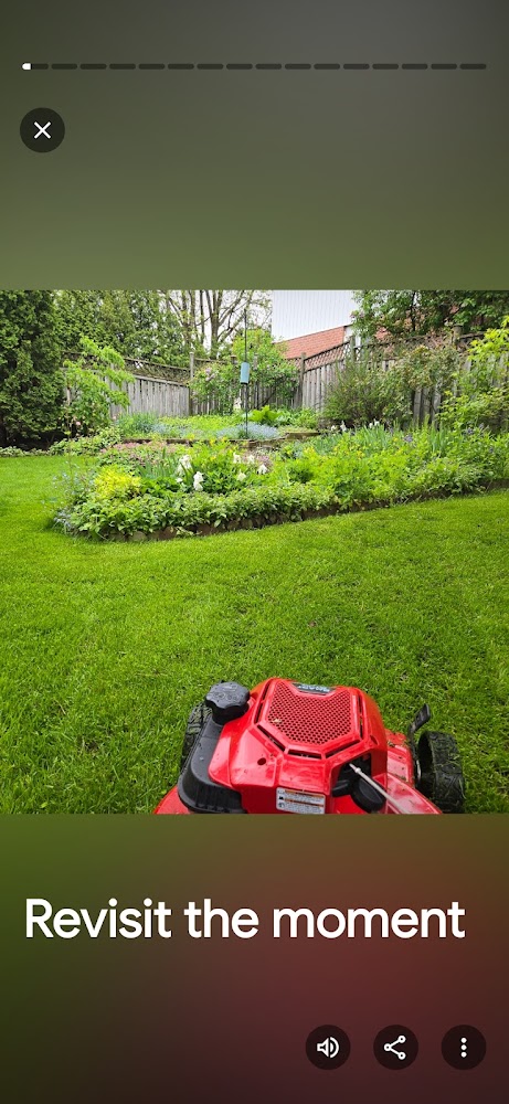 CJ'S Property Maintnance - Lawn Care Barrie