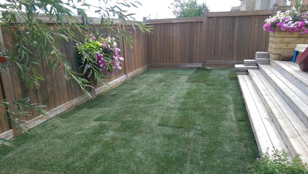 Mariani Landscaping