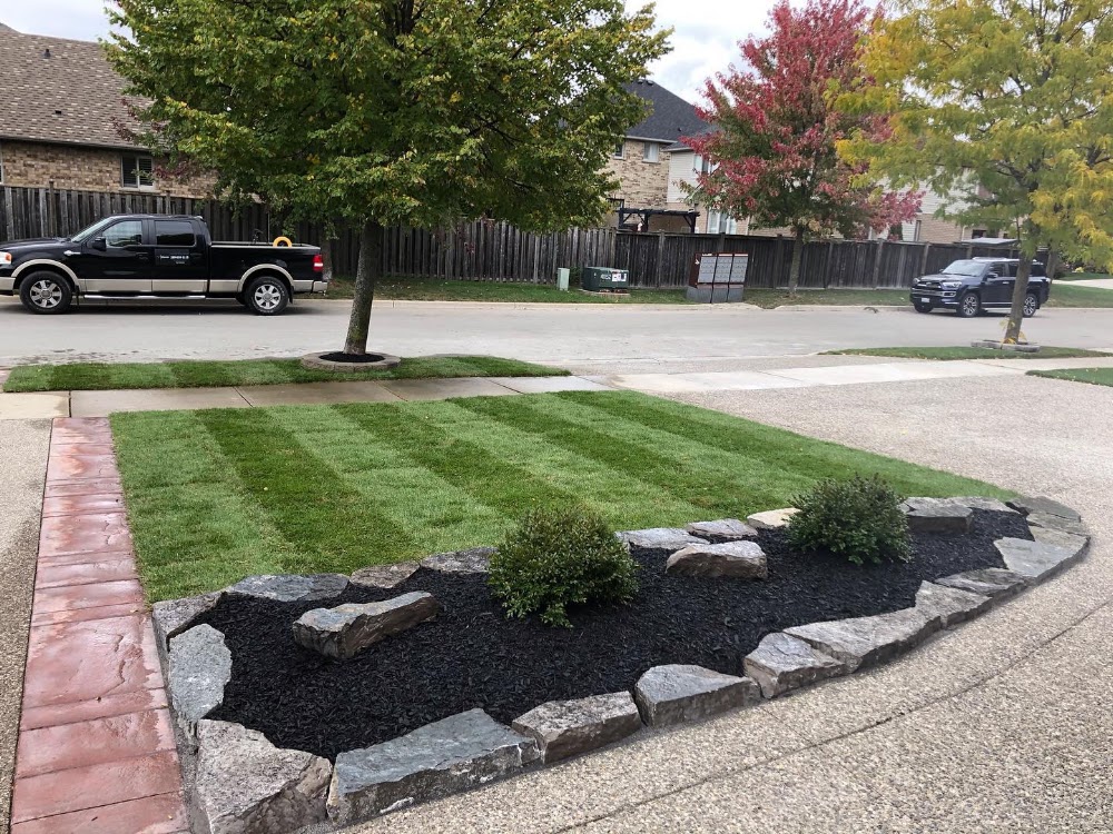 Bloom Property Solutions - Landscaping and Property Maintenance