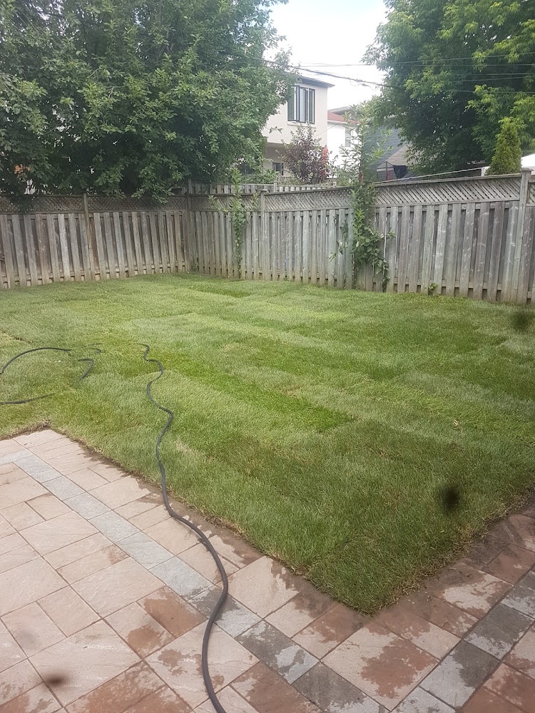 variety of clean ups and landscaping