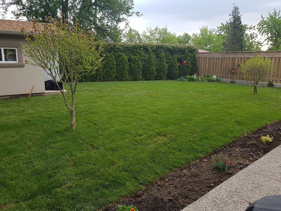 DTLK Contracting