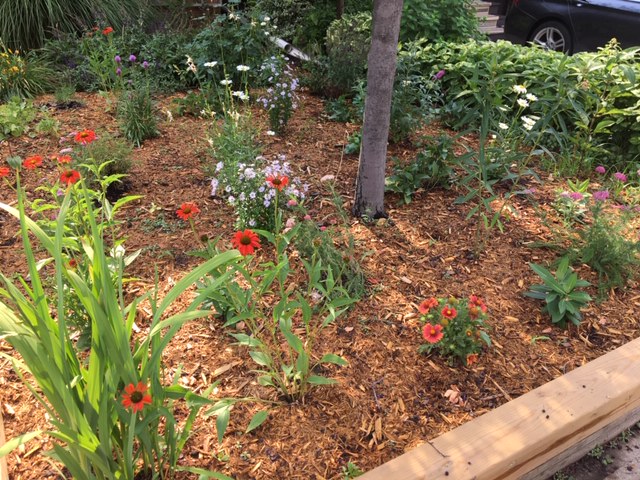 Saben Landscaping