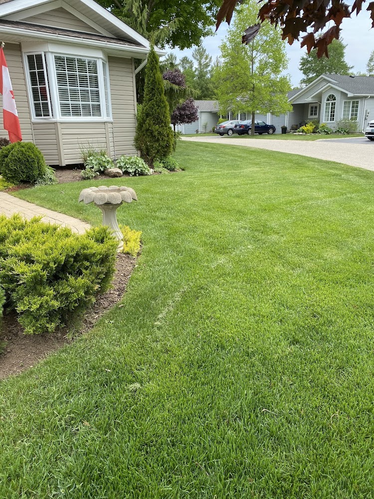TruGreen Lawn Care