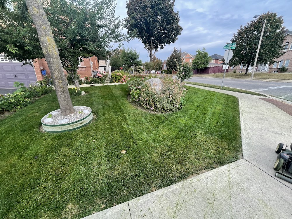 AVD Landscaping & Snow Removal
