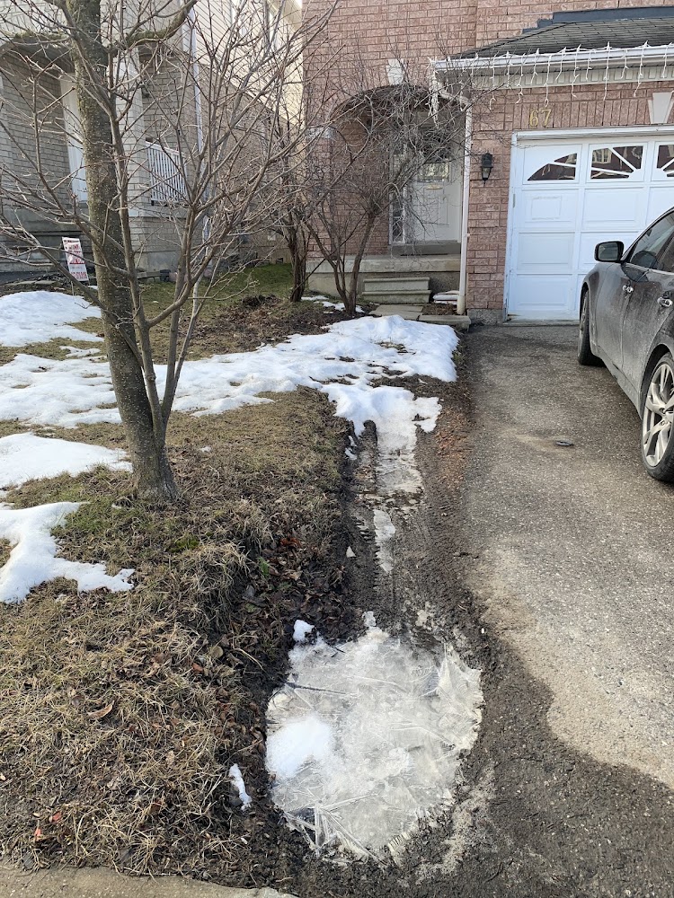 Regalport Landscaping