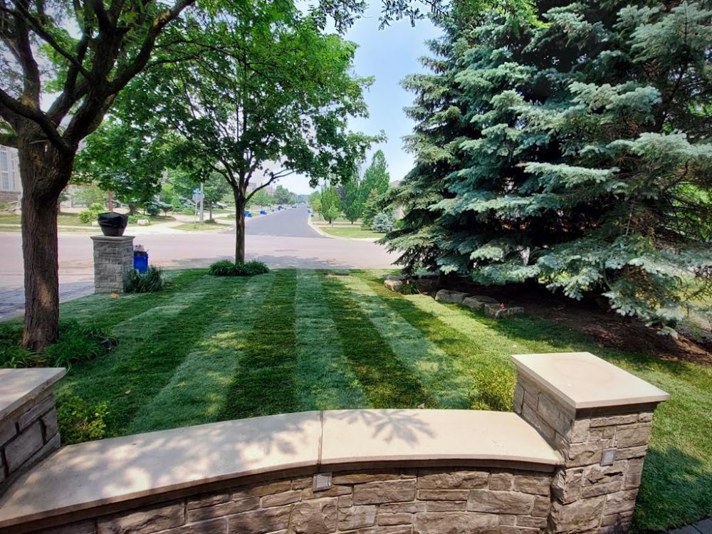 Sodding Canada - Sod Installation & Lawn Replacement