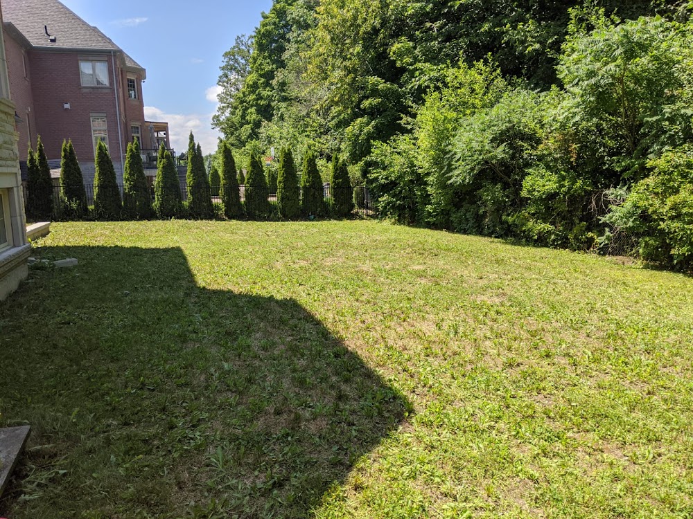Ultimate Lawn Care