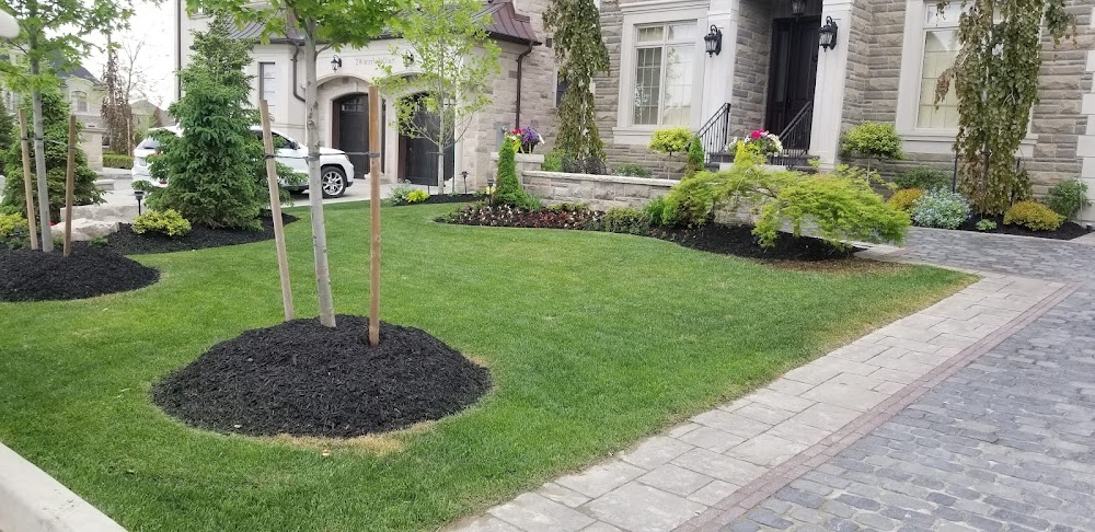 Mr Reliable landscaping