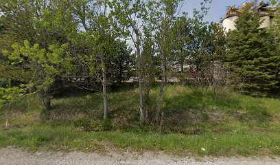 Major League Landscapes