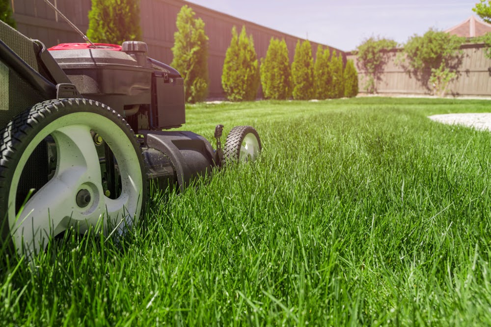 Green Haven Landscapes Ltd
