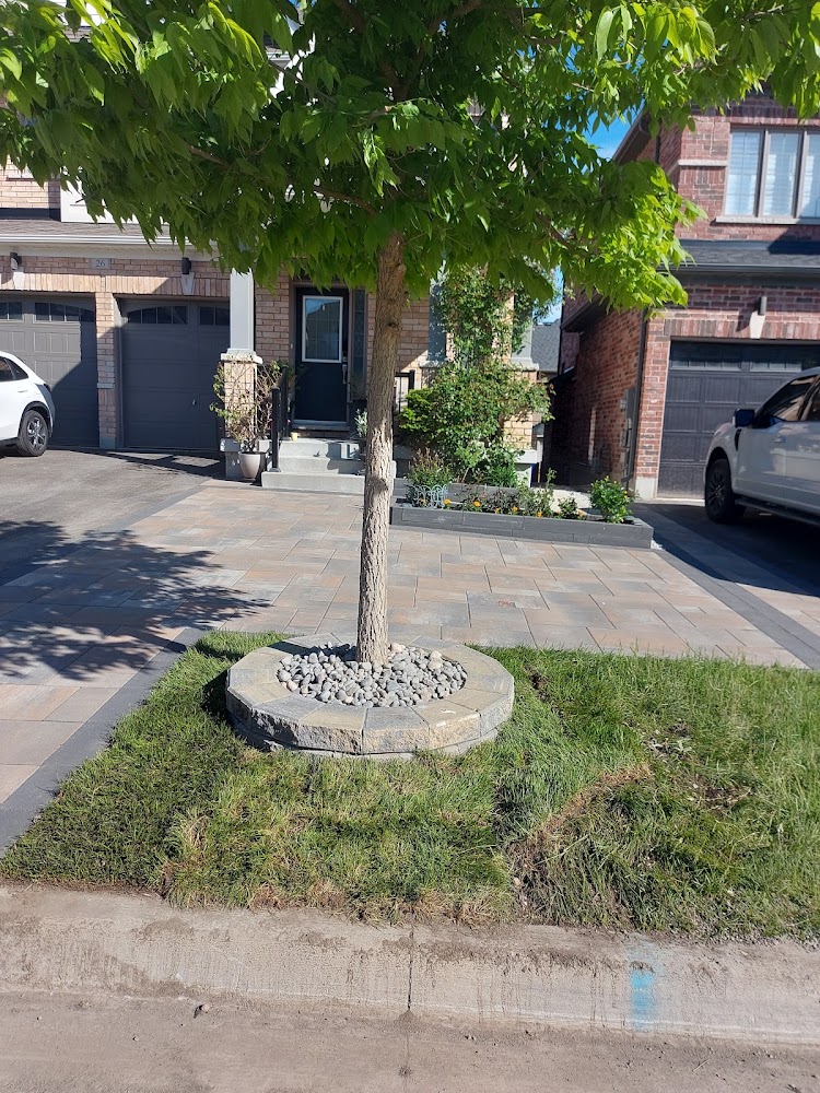 CindyLandscaping