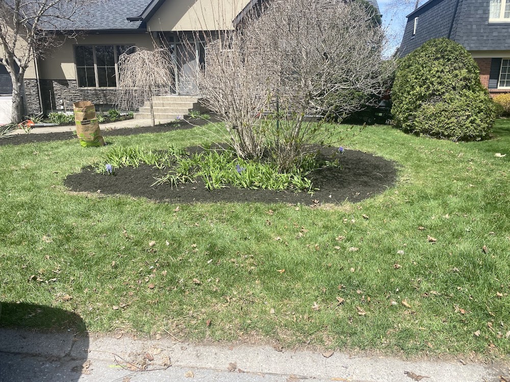 Ottawa Lawn, Parging and Snow