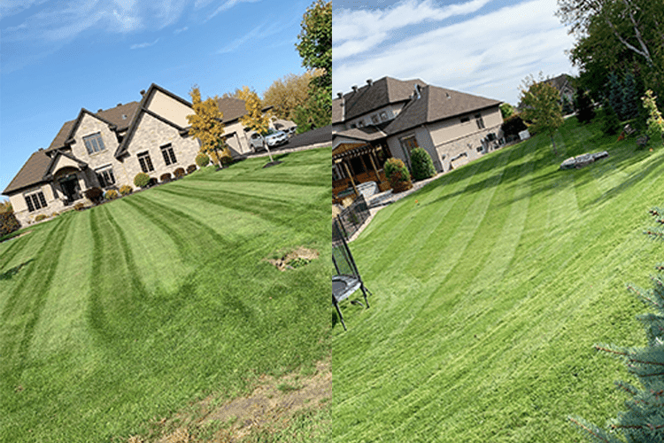 Capital Yardworks Inc