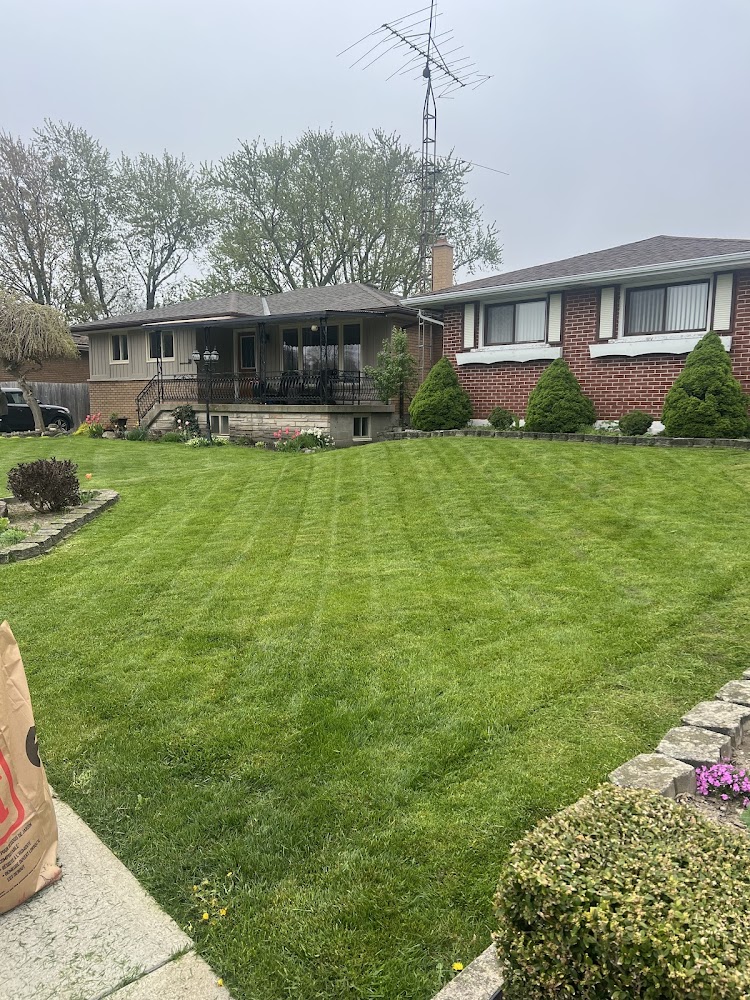 Shawn’s landscaping services