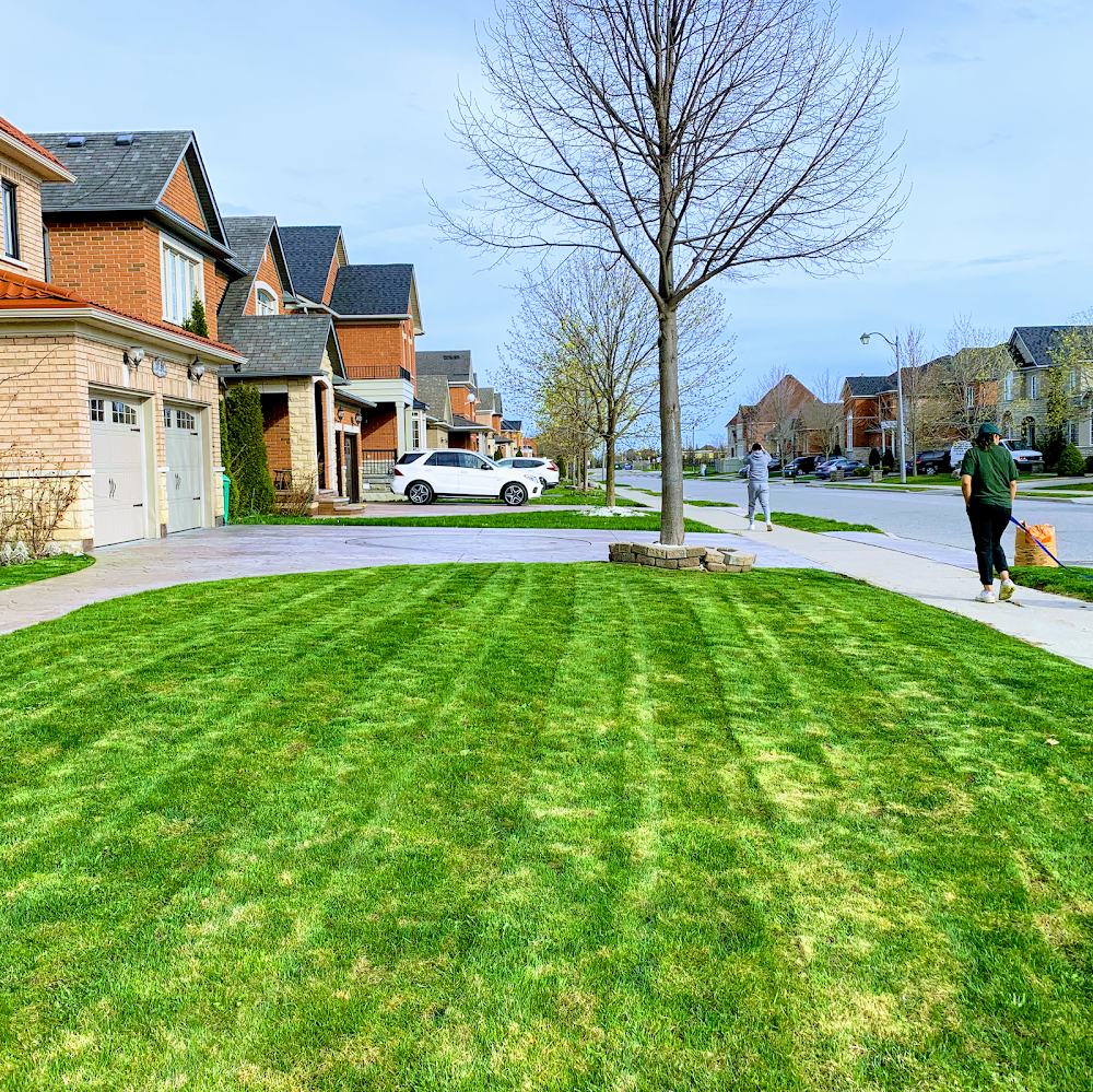 Turf Smart Lawn & Snow Care