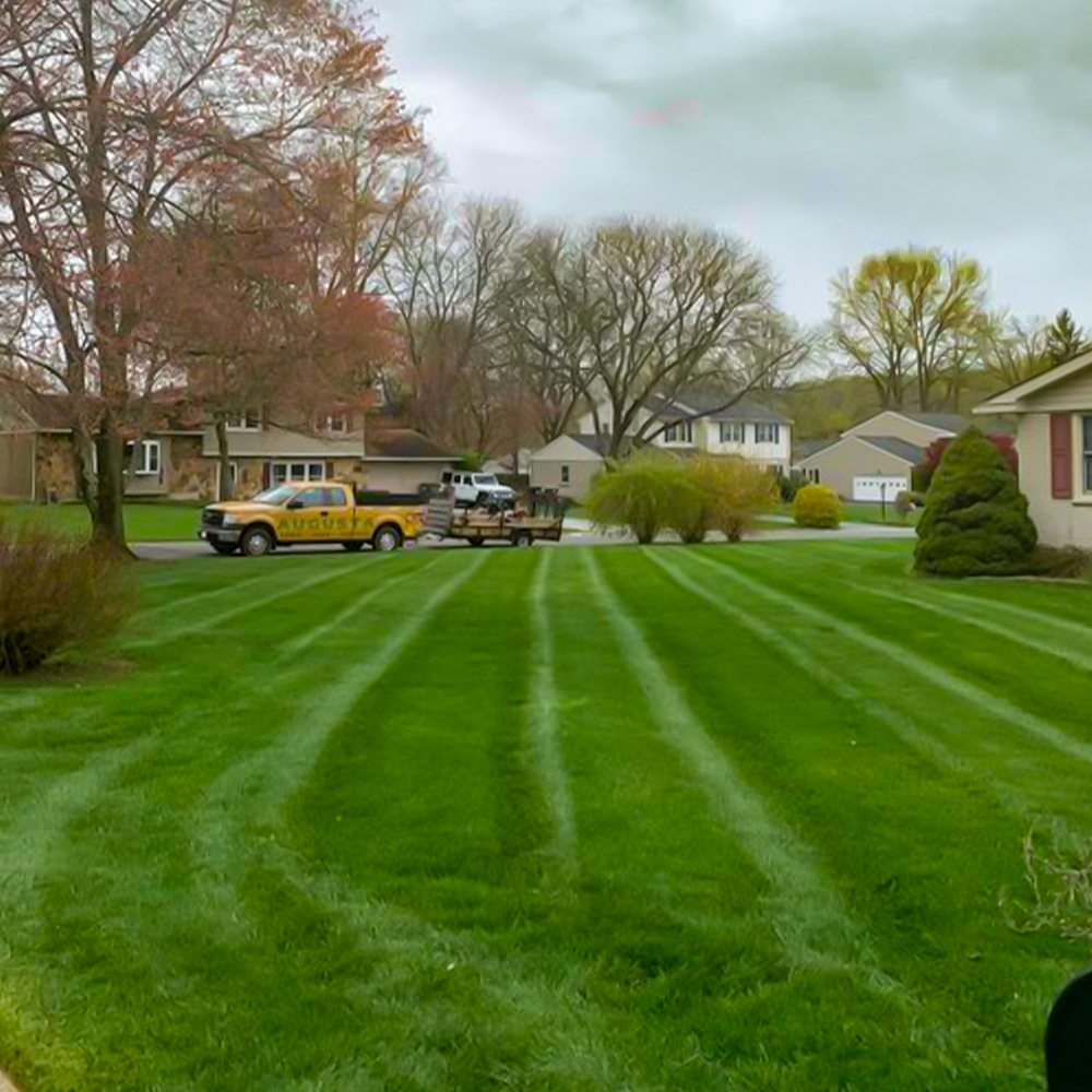 Augusta Lawn Care of Nepean | Landscaping | Snow Removal