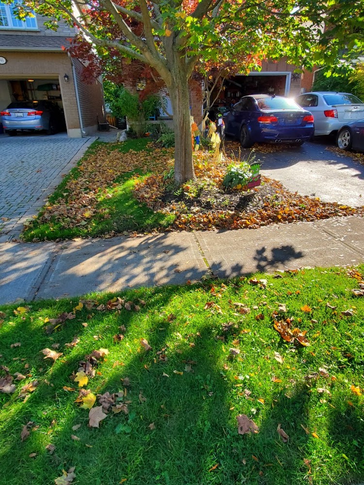Speedy Landscaping