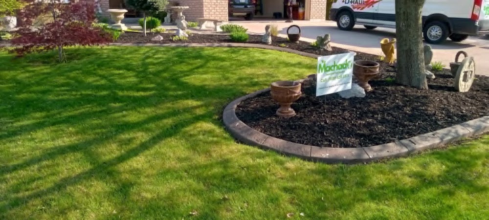 Machado Lawn and Yard Services