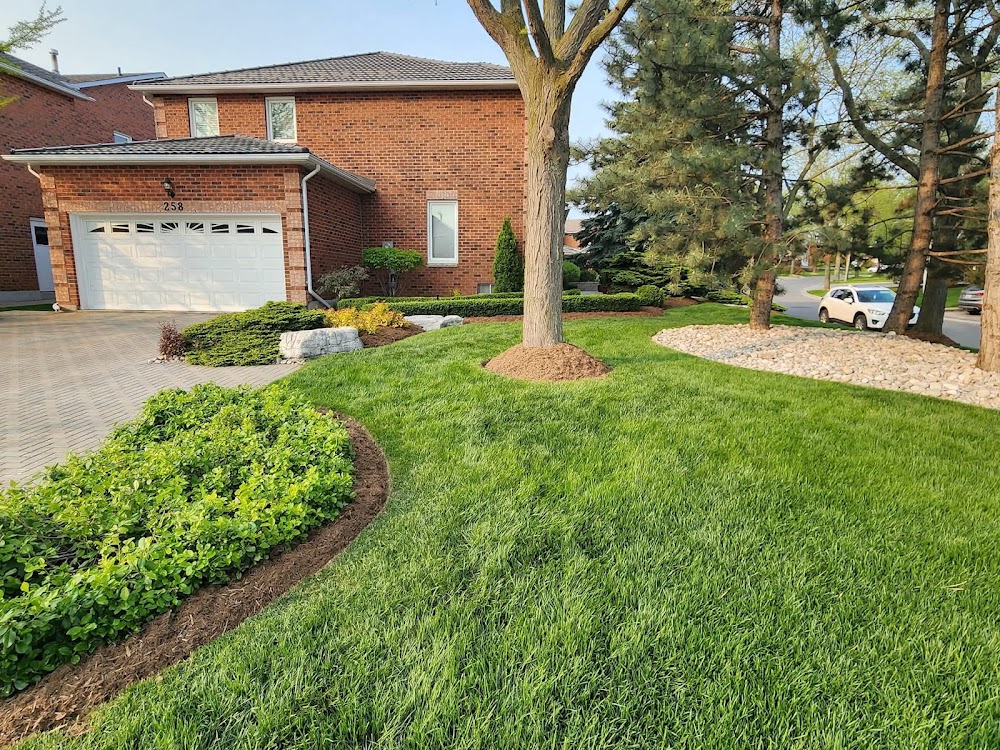 Nolasco Landscaping