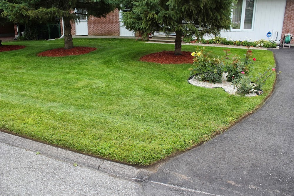 Local Lawns