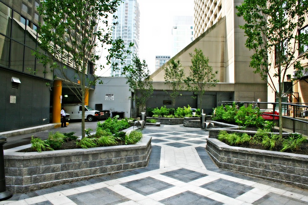 Urban Garden