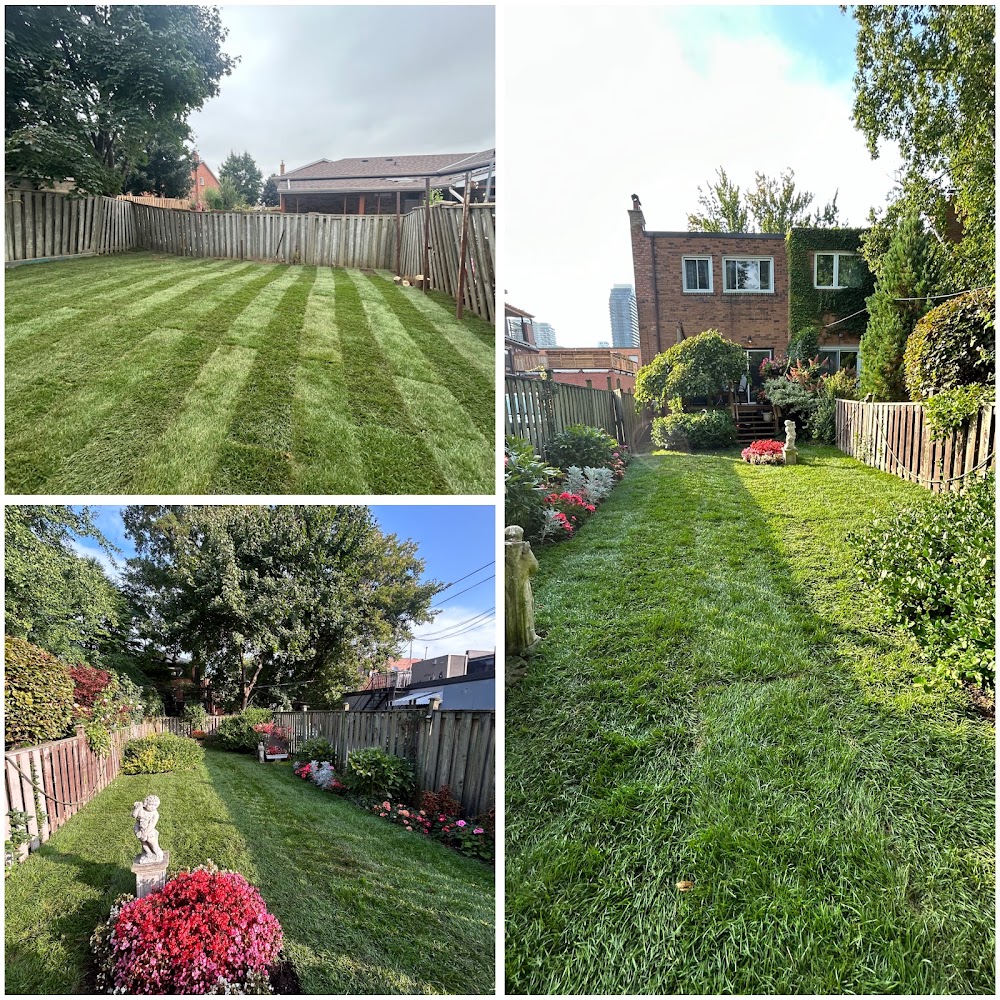 Sidis Construction and Landscaping