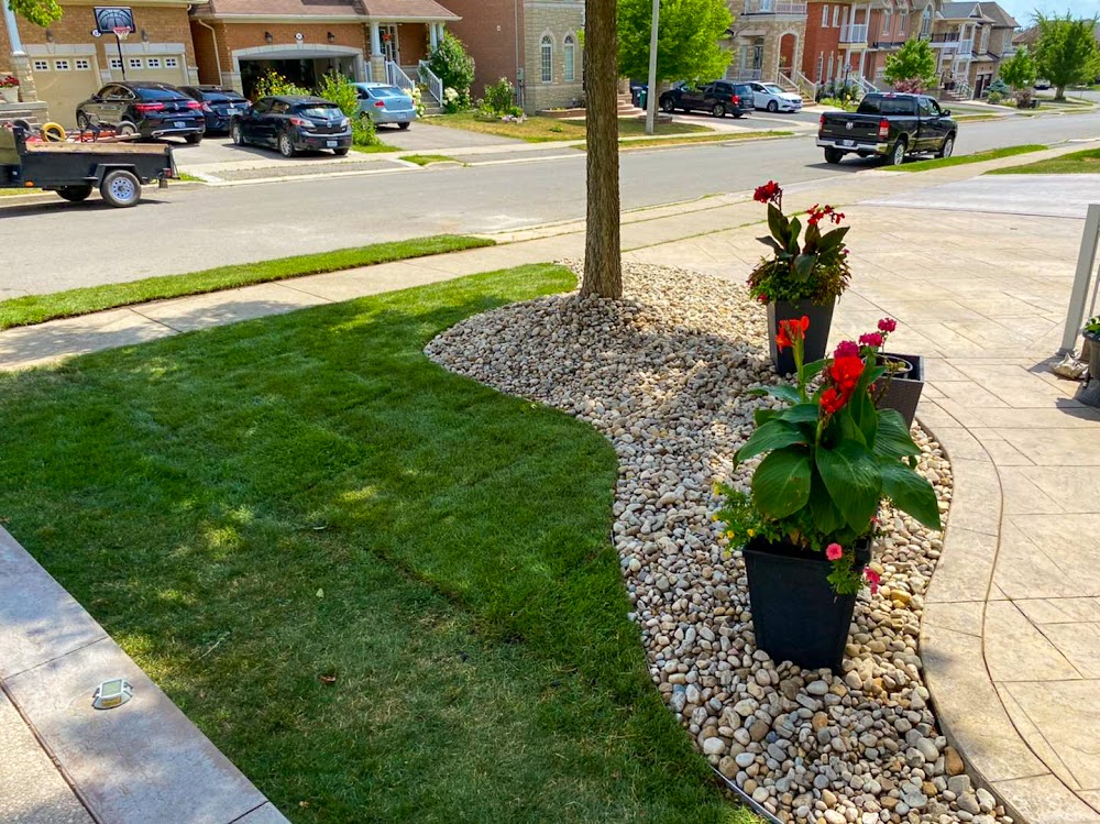 M.S. Lawn & Garden