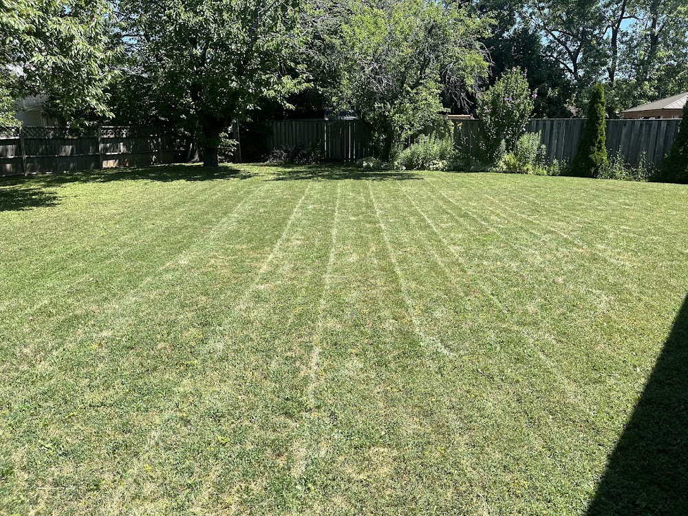 RPM Ralph’s property maintenance
