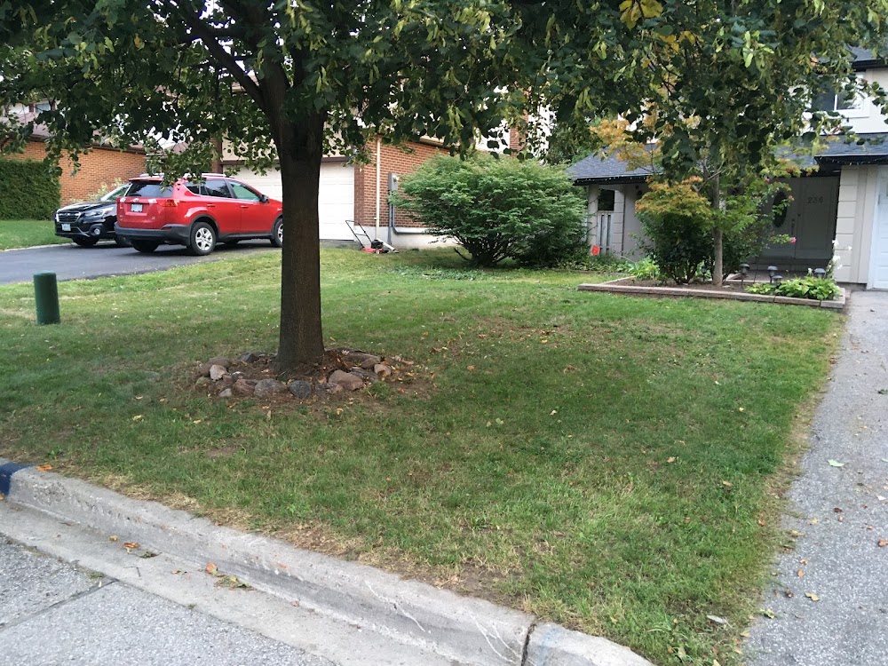 Chosen Landscaping