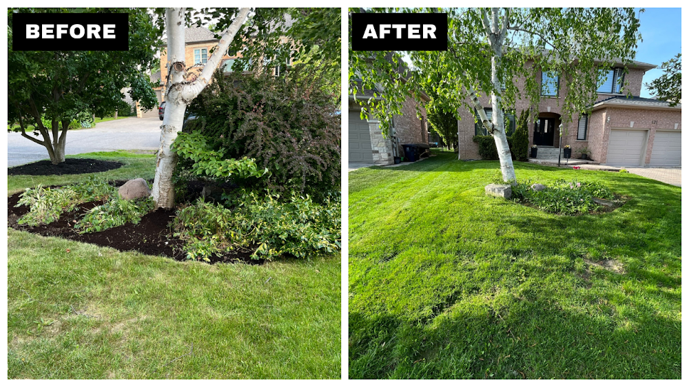 Northern Lawns & Landscapes