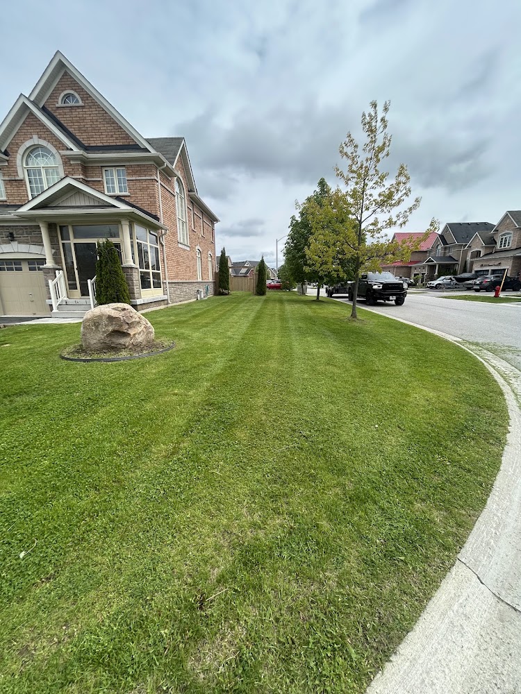 JM Property Maintenance and Landscaping