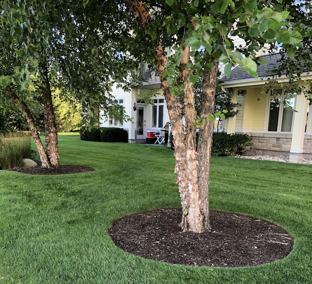 Fabulous Garden Landscaping