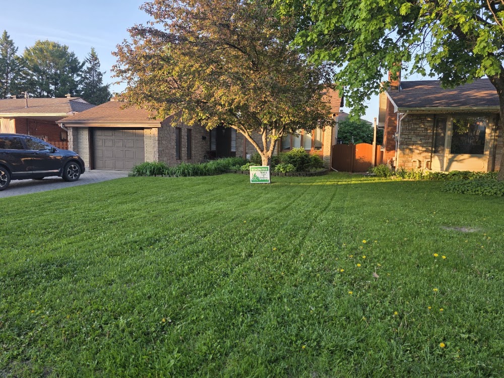 Moe's Lawn & Gardening Service